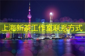 尝试差异，拓展上海茶庄的众多可能