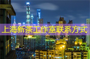 上海文创园区的奇幻探索